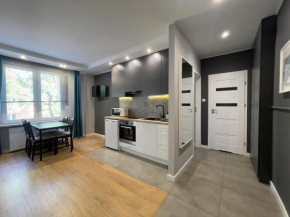 Centrum Apartment na Zamenhofa, Białystok